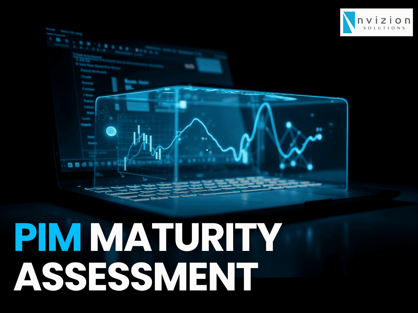 PIM Maturity Assessment 