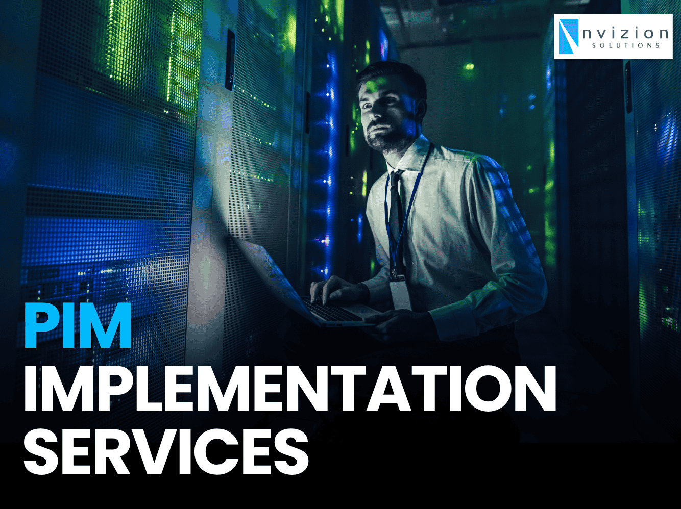 PIM Implementation Services 