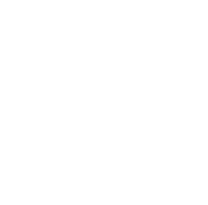 Commerce Strategy & Transformation