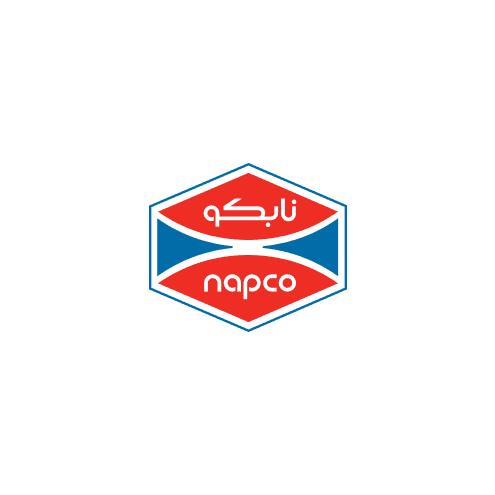Enabling a Unified Product & Supplier Data Foundation for Napco Security Technologies