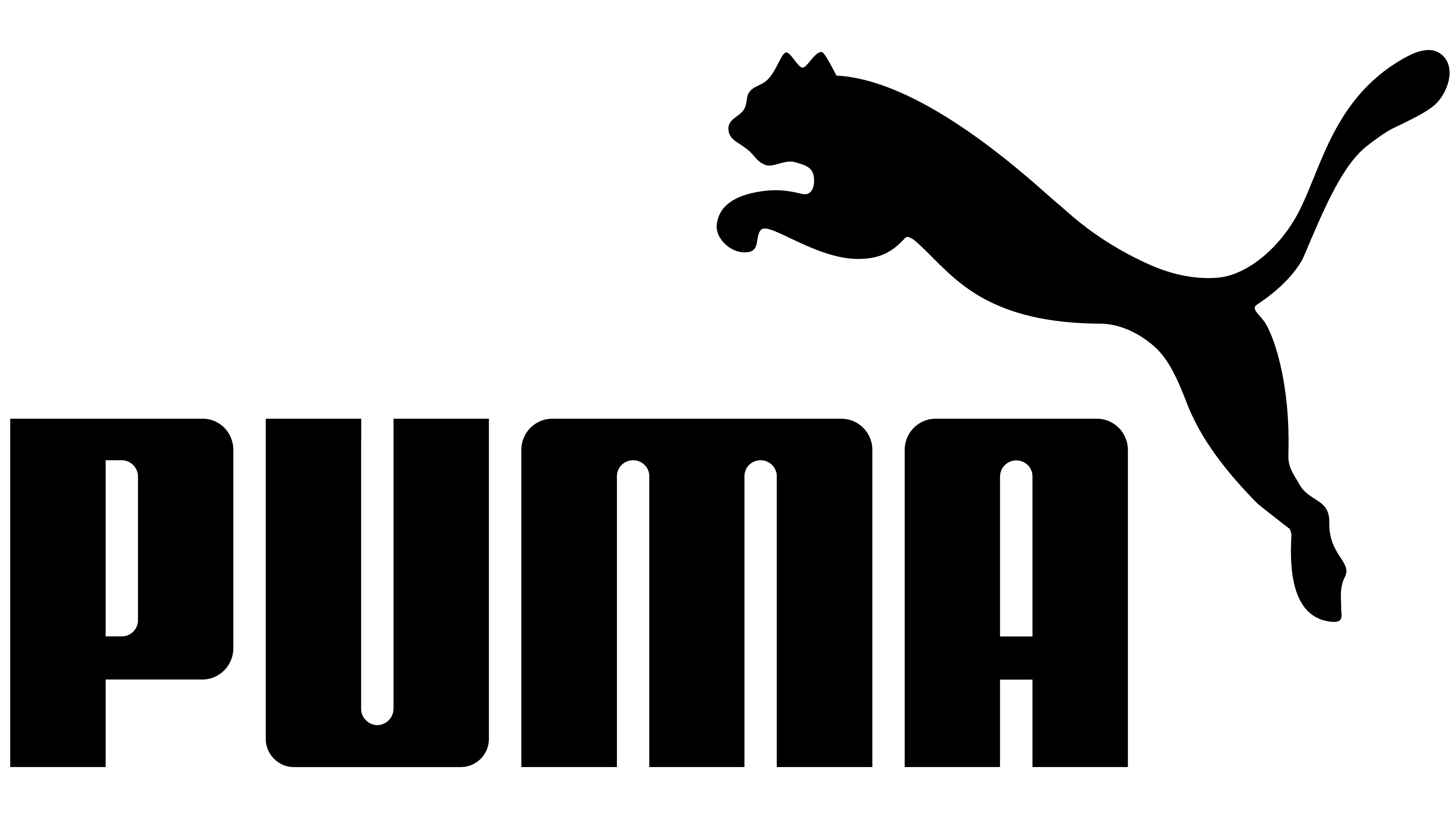 Nvizion Solutions | Case Study | Puma